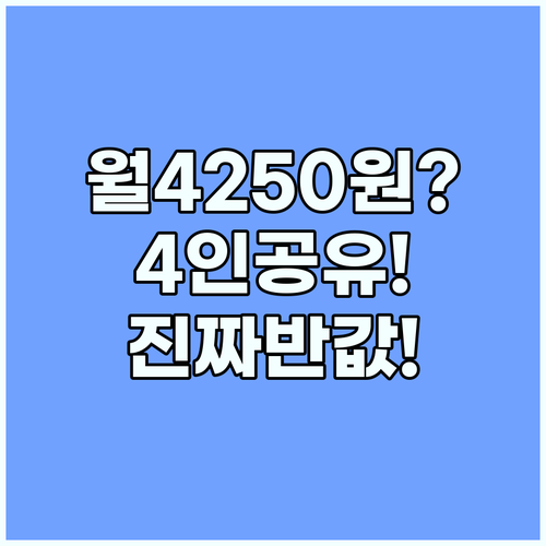 월 17000원 넷플릭스 4인 공유시..