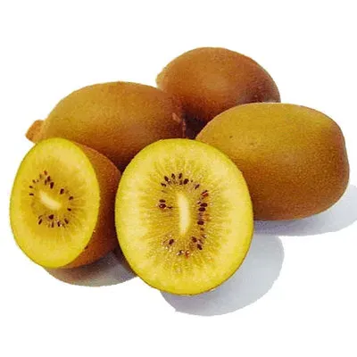 골드키위 효능 부작용_7