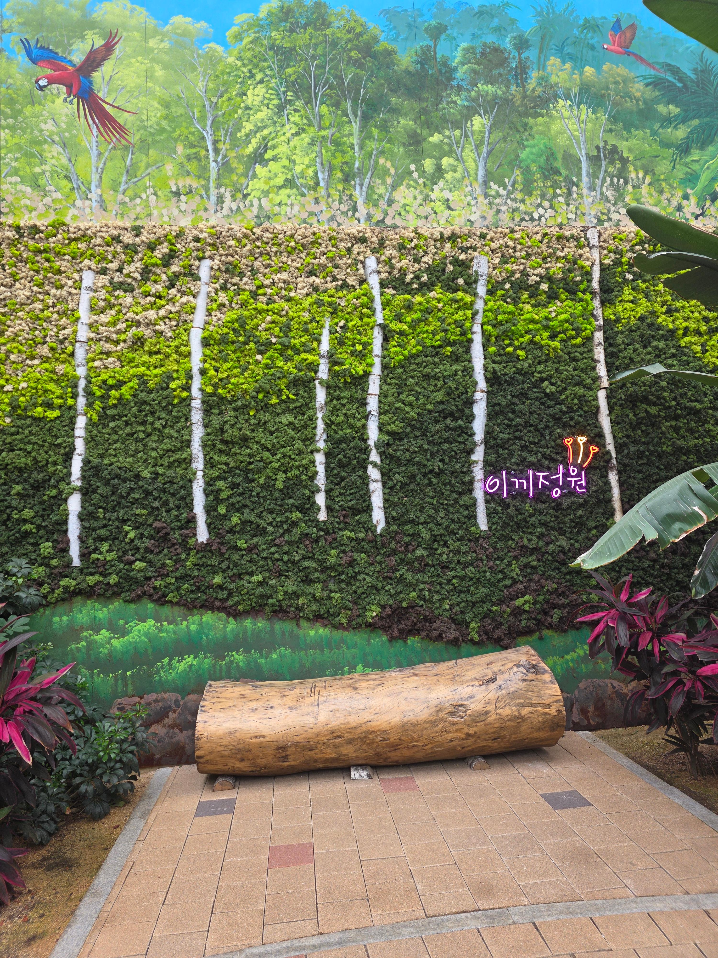 제천 아열대 스마트 온실 포토존