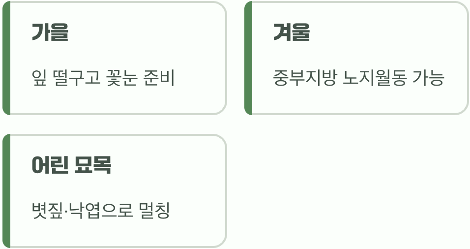 비결 5. 추운 겨울을 이겨내는 법, '월동'