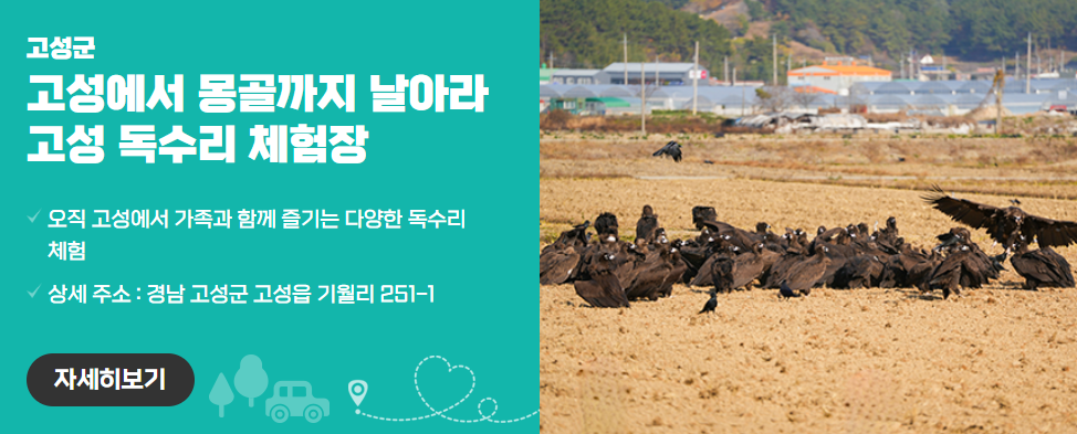 고성에서 몽골까지 날아라 고성 독수리 체험장