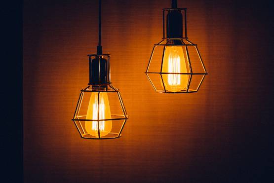 계양산 뒤덮은 러브버그&amp;#44; 퇴치법과 정부 방역 대책은?