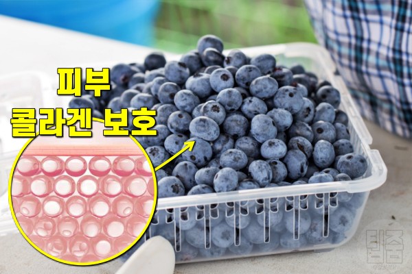 노화방지에 좋은 음식, 블루베리 효능, 노화를 늦추는 음식, 안티에이징, 뷰티 팁줌
