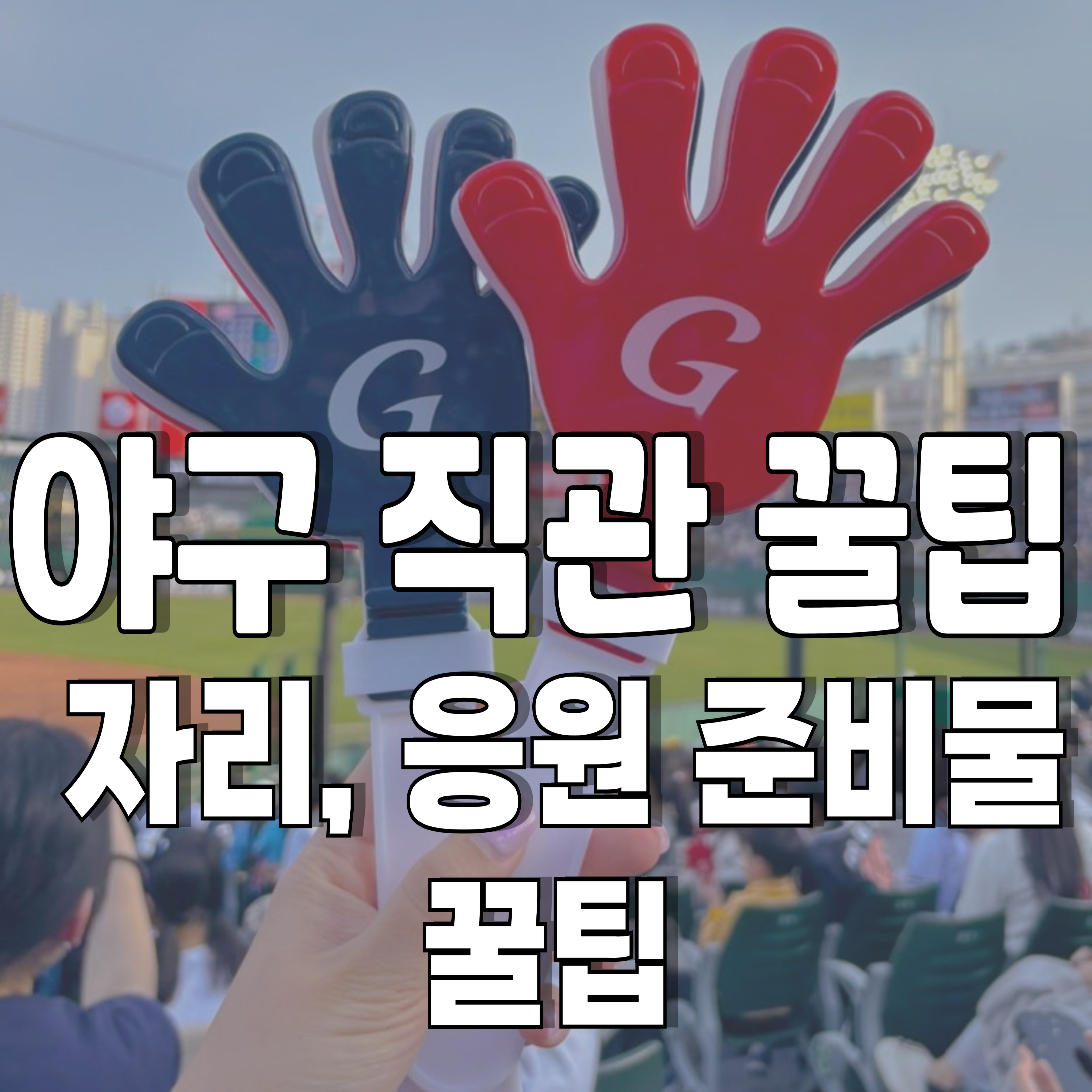 야구-직관-자리-응원-1