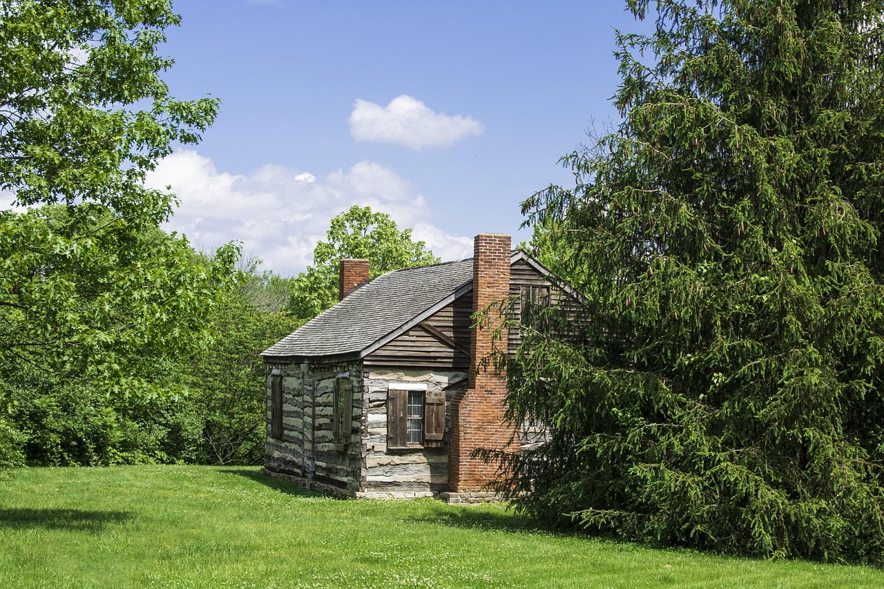 산중 통나무 집 관련 사진