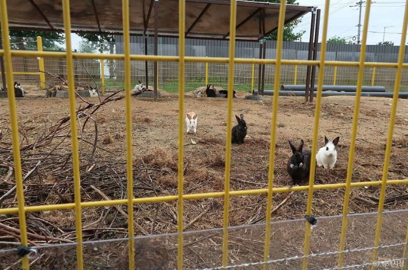 평택시농업생태원