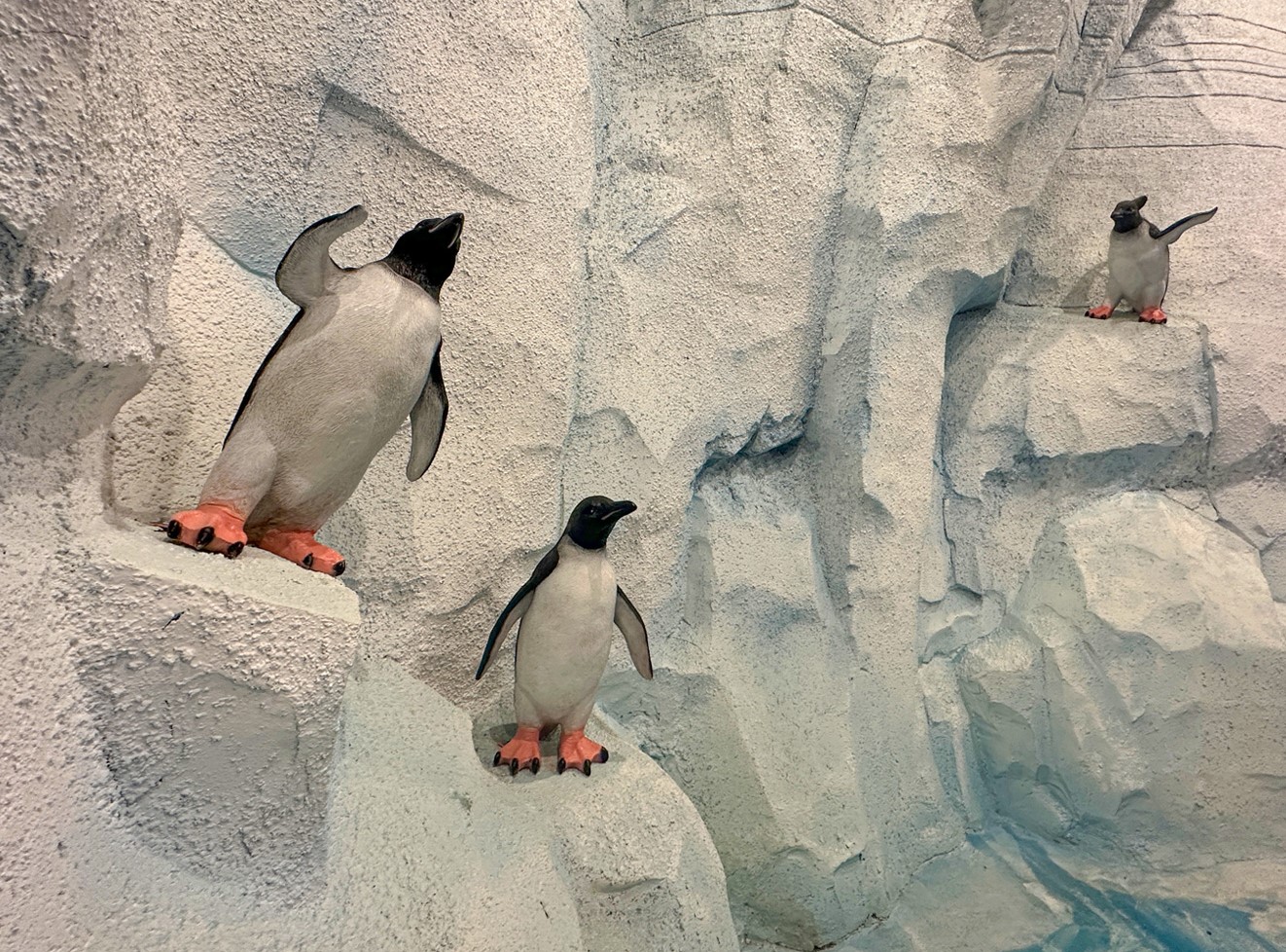 순천만 국제 정원 박람회