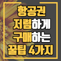 항공권 싸게 사는 방법 안내글 썸네일