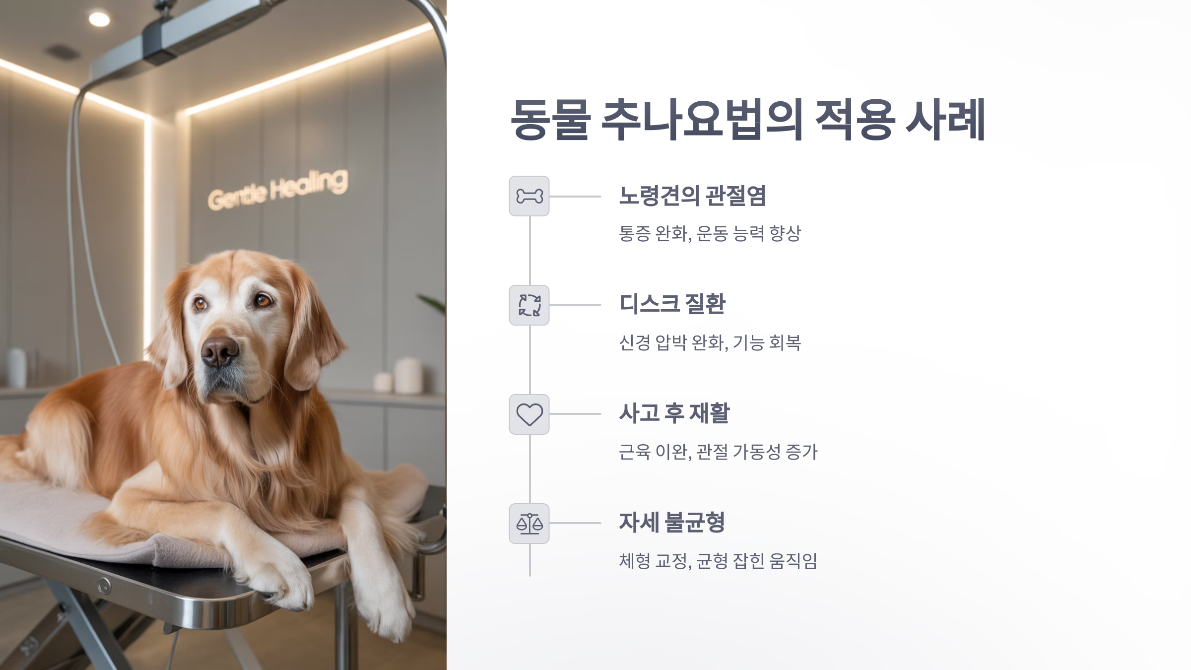 참조-동물-추나요법-3