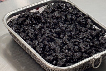 건포도 효능 부작용