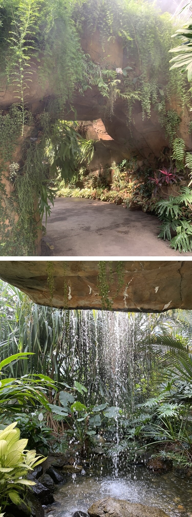 열대관 동굴 및 폭포