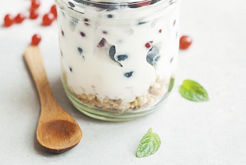 결론, 그릭 요거트 vs 일반 요거트 차이점은 무엇일까?