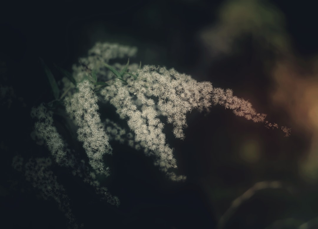 Expiration