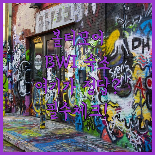 볼티모어 여행 준비 필수 정보 BWI..