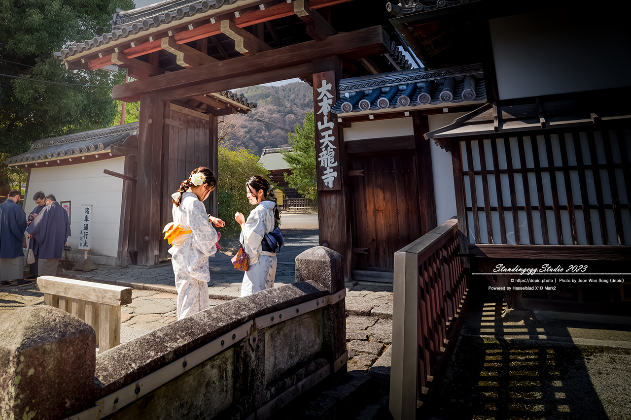 #일본 #교토 #신사 #일본여행