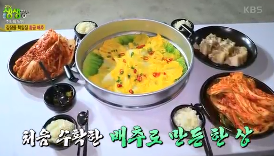 솔바위농장 해남배추 한상
