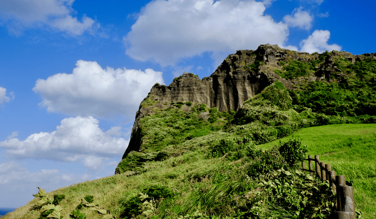 제주_땡처리_항공권_8