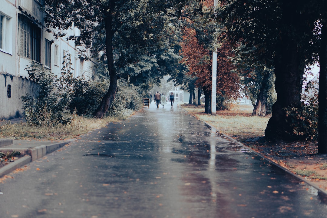 Rainfall