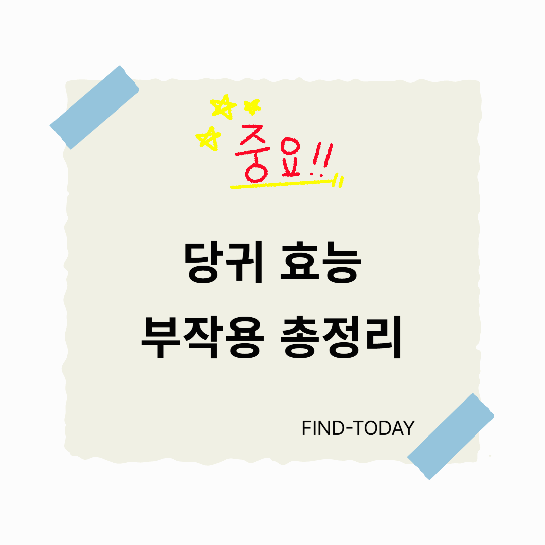 당귀 효능 부작용 총정리