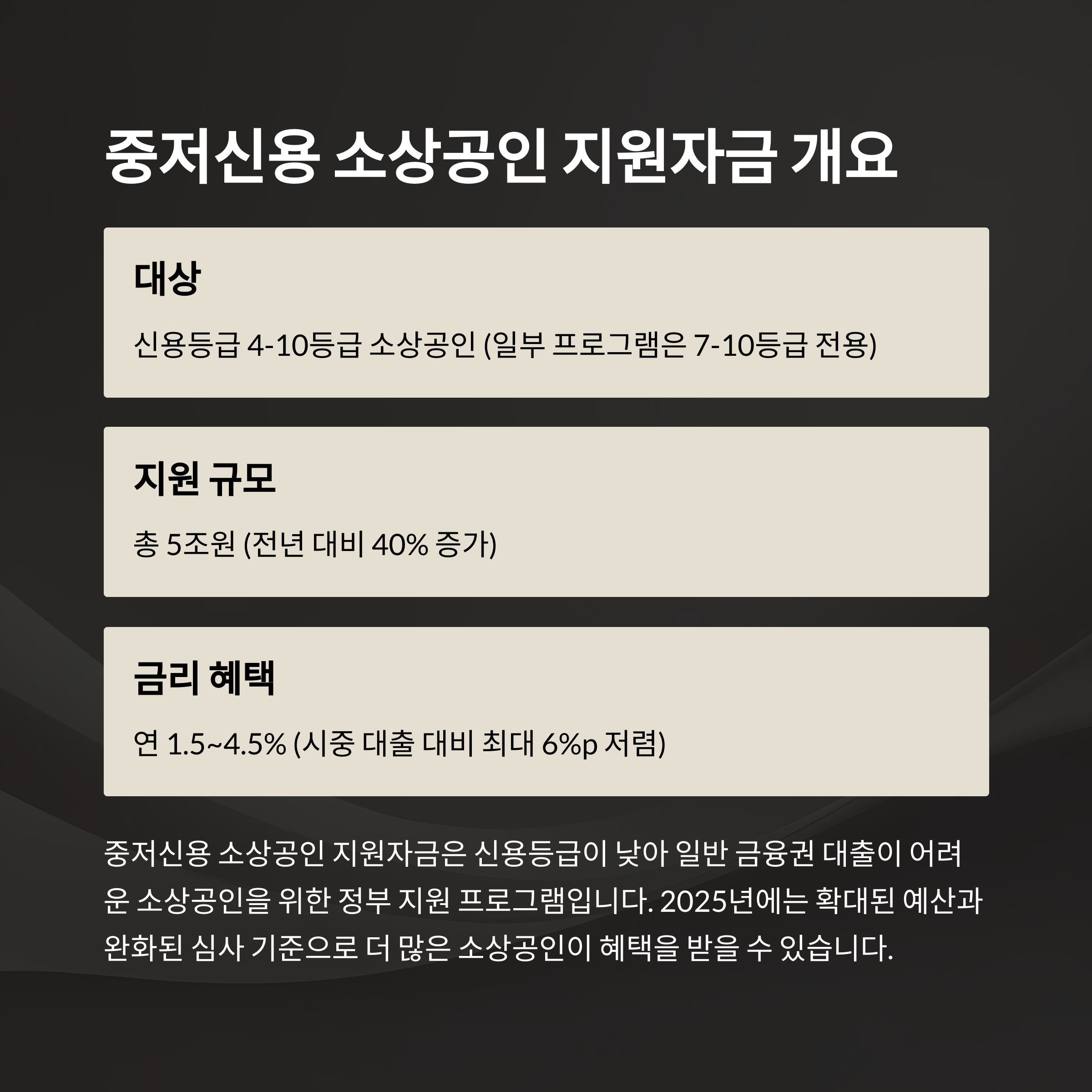 중저신용 소상공인 지원자금 개요