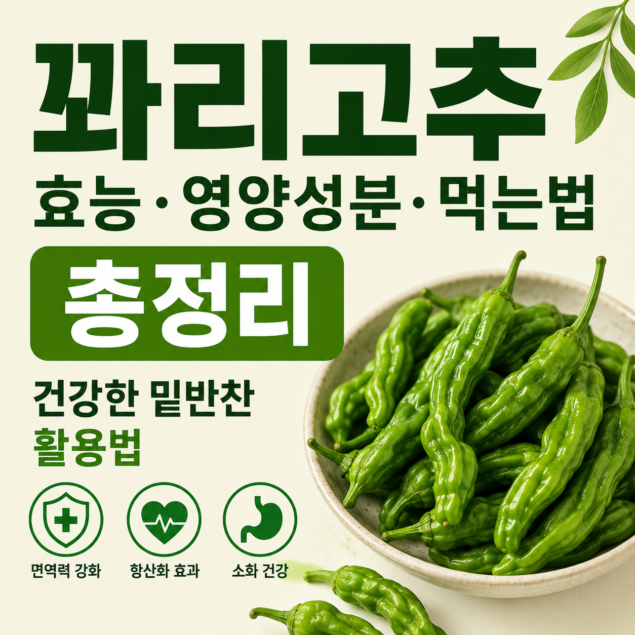 꽈리고추 효능