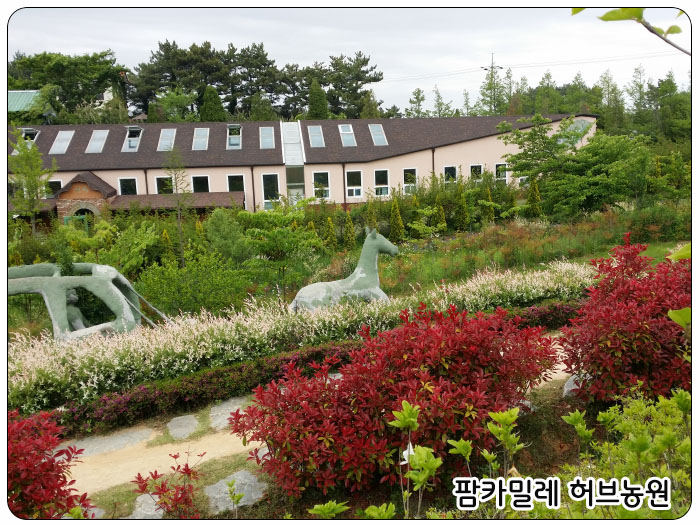 팜카밀레 허브농장, 말, 마차