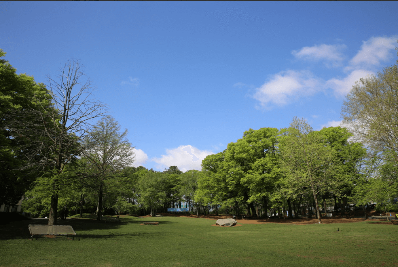 '푸룻푸룻프렌즈 여름탐험대