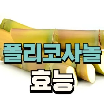 폴리코사놀 효능 알아보기 건강 보조제 정보_4