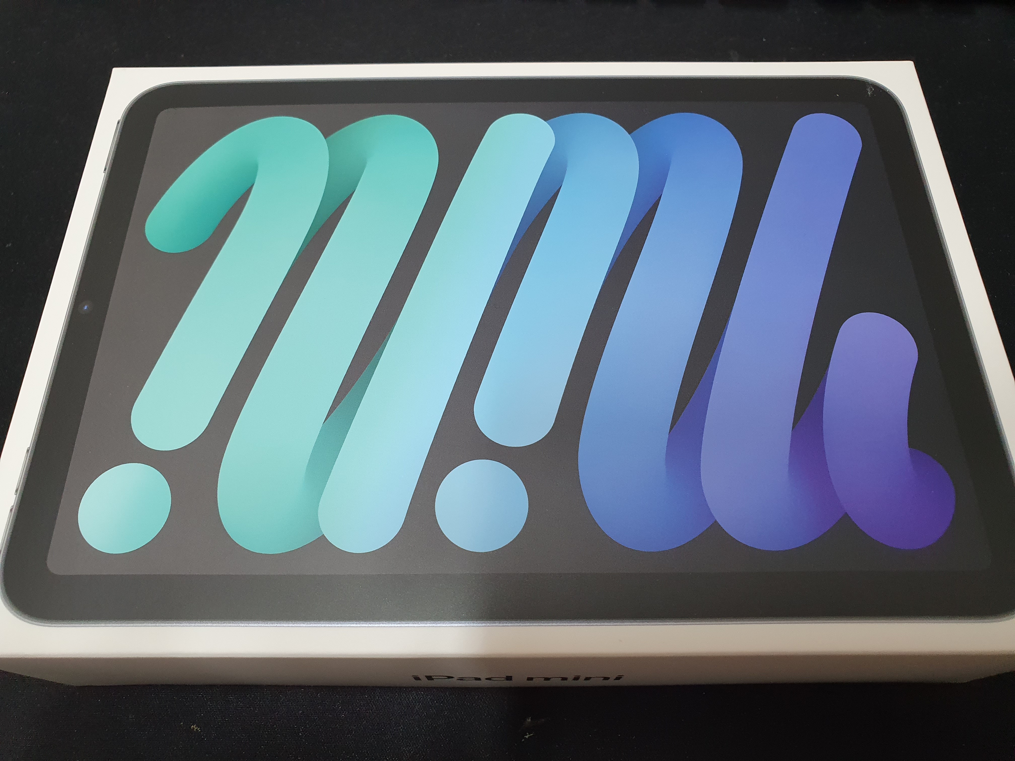 아이패드 미니6 박스