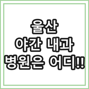 울산 야간 진료 내과 병원