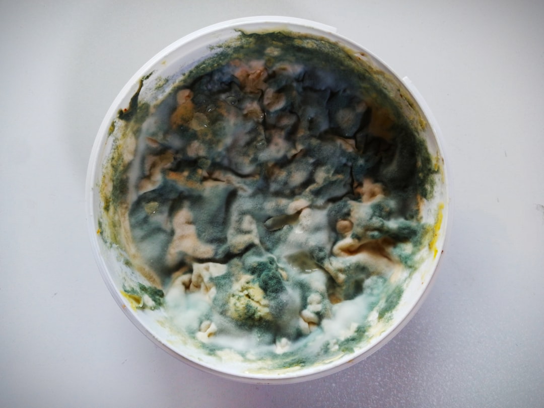 Mold