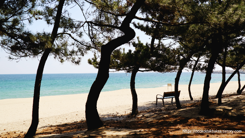 엄마의 개인시간이 생긴다면 바로 이 벤치에 앉아 시원한 커피한잔을! (photo by 똑딱박사엄마 / 동해바다)