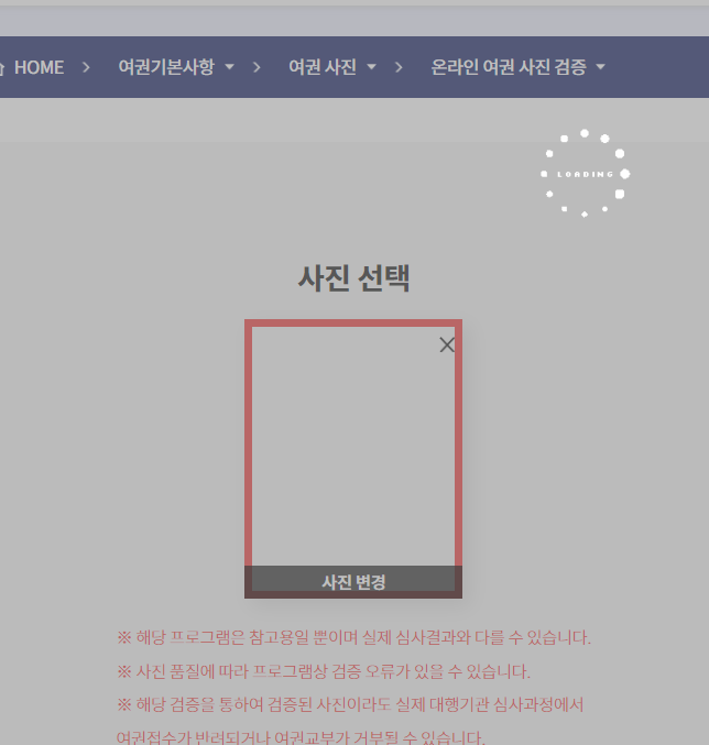 외교부 여권사진 온라인 검증 중
