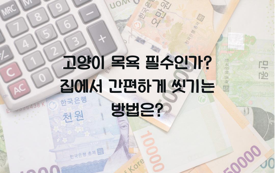 고양이 목욕 필수인가? 집에서 쉽게 하는 목욕 방법 공개