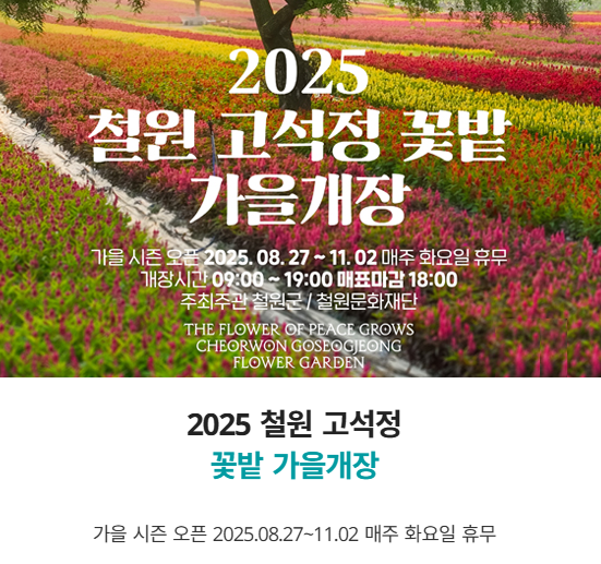 철원 고석정 꽃밭 가을개장