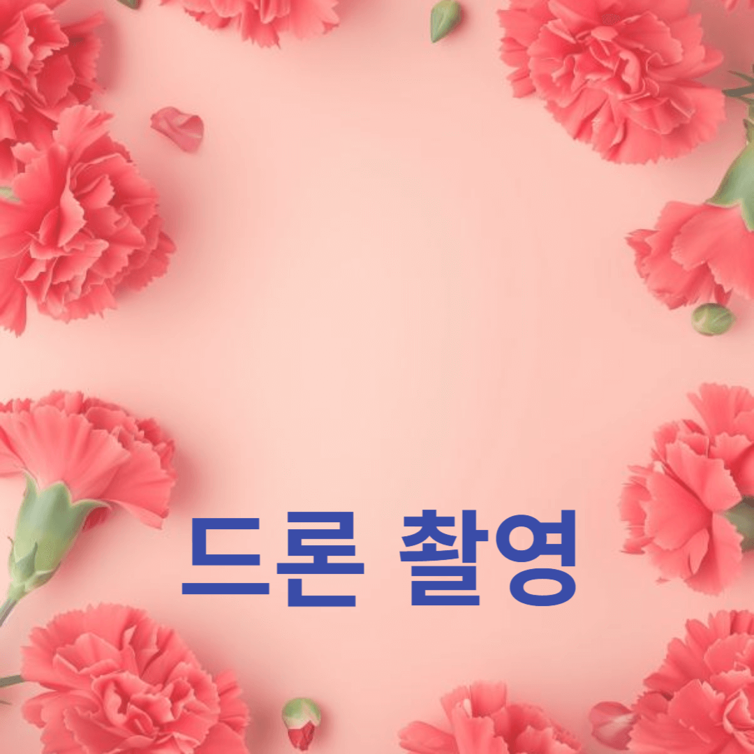 성공적인 프로젝트를 위한 가이드