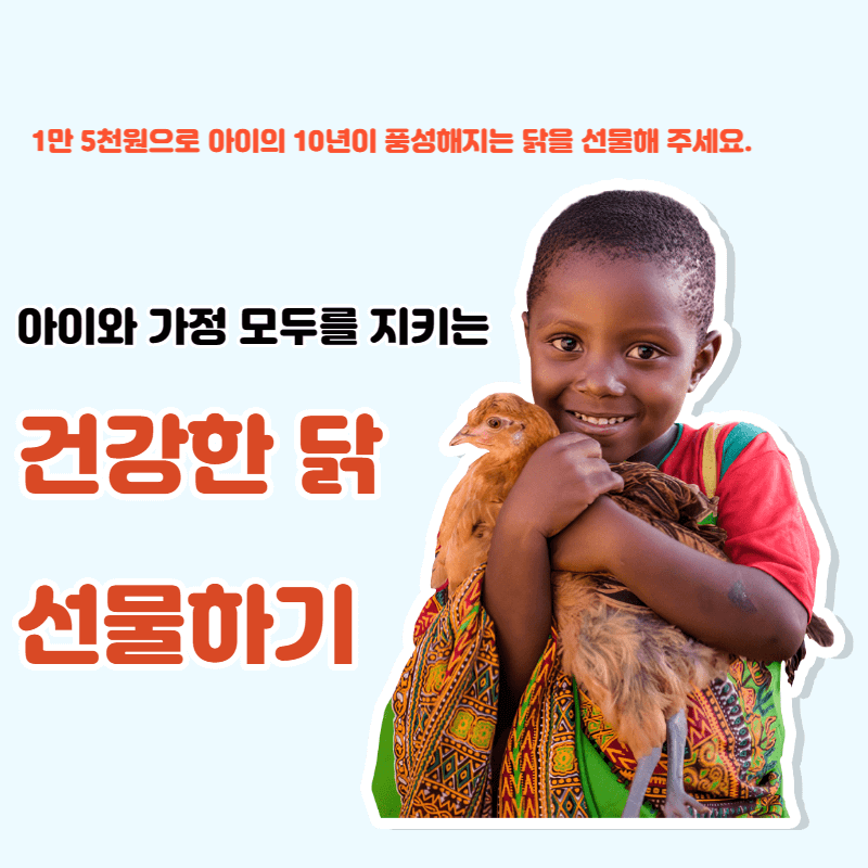 건강한 닭 선물하기 썸네일