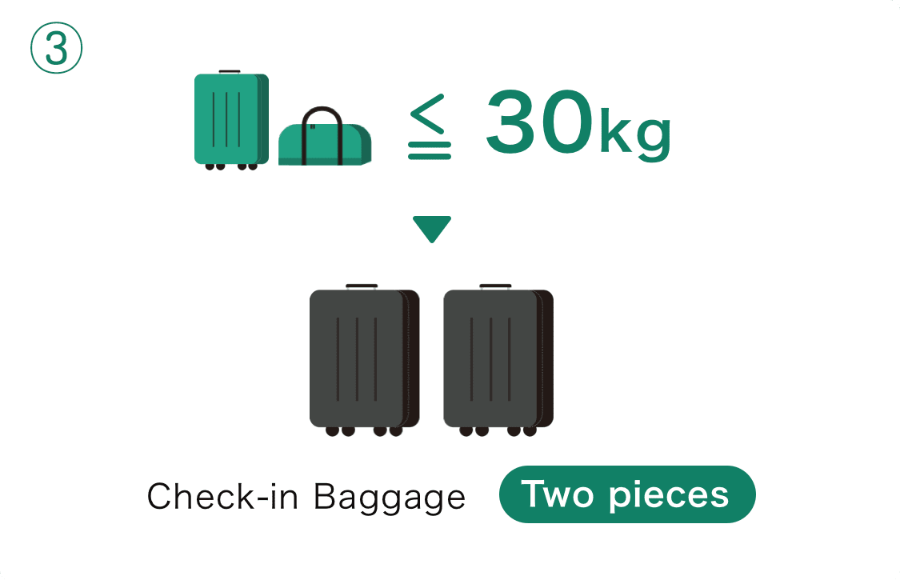 위탁 수하물 요금 예시3