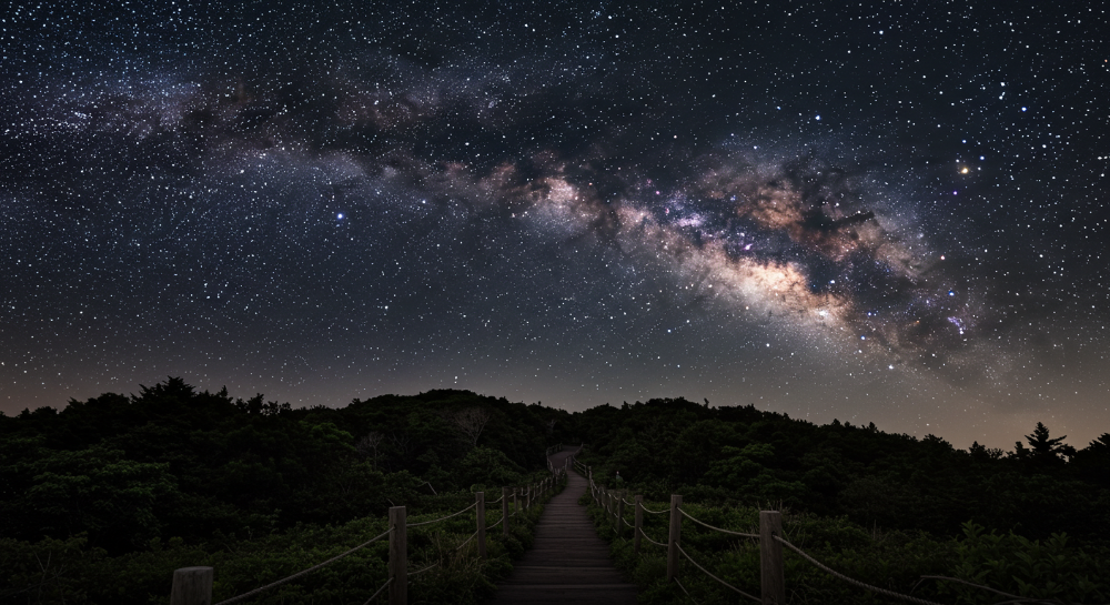 은하수가 선명하게 보이는 제주 곶자왈 숲길의 밤하늘