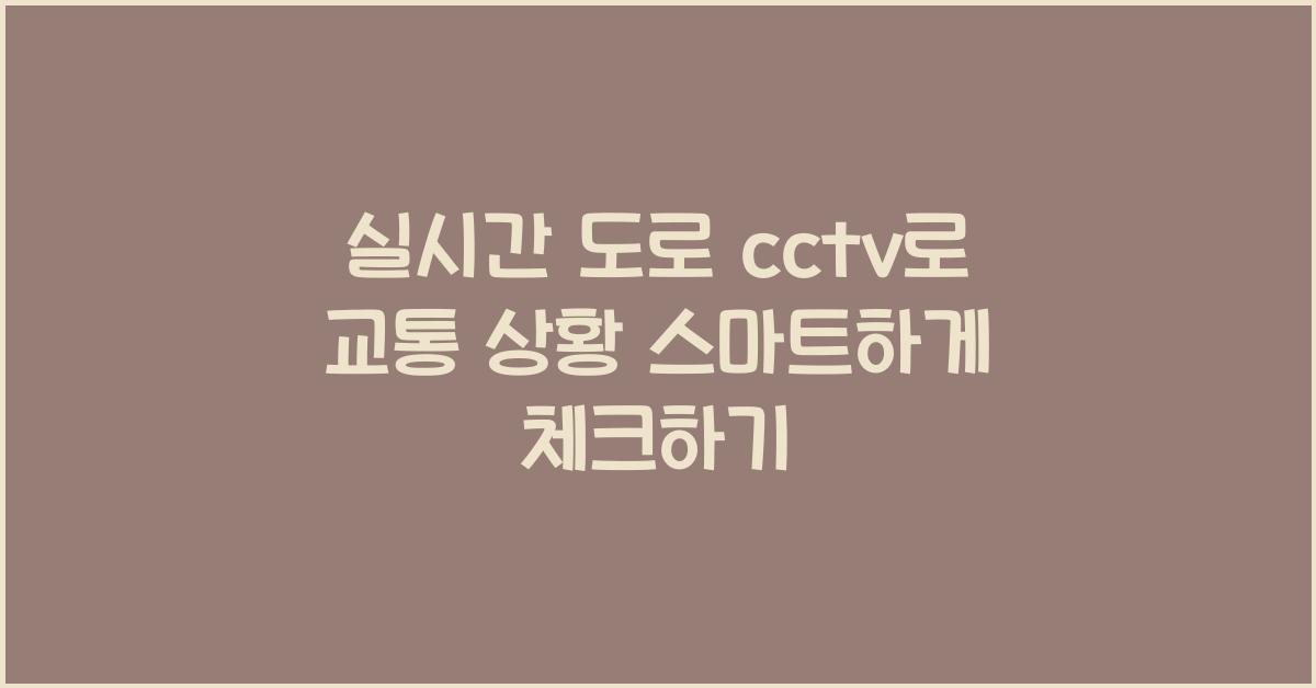 실시간 도로 cctv