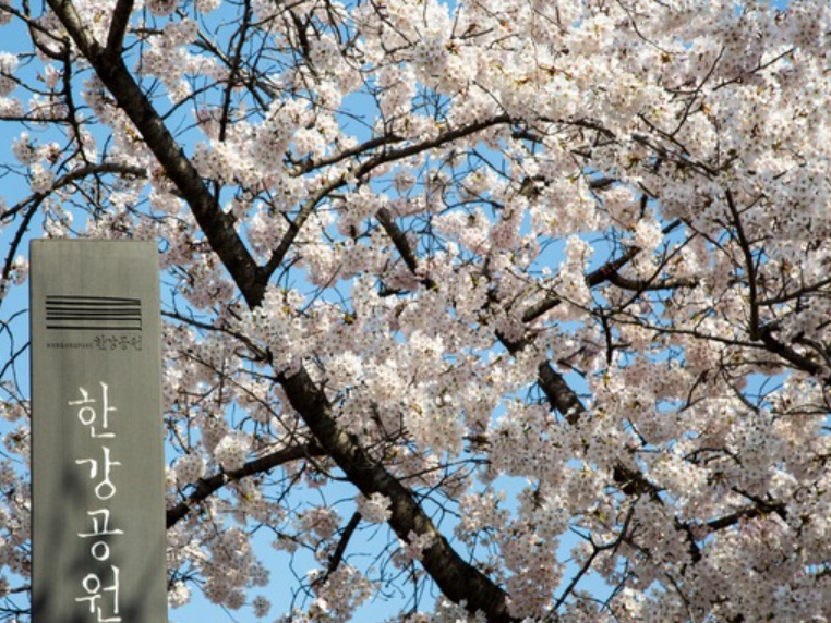 여의도 벚꽃축제 일정