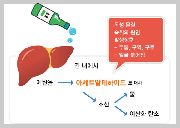 급성 알콜중독 증상