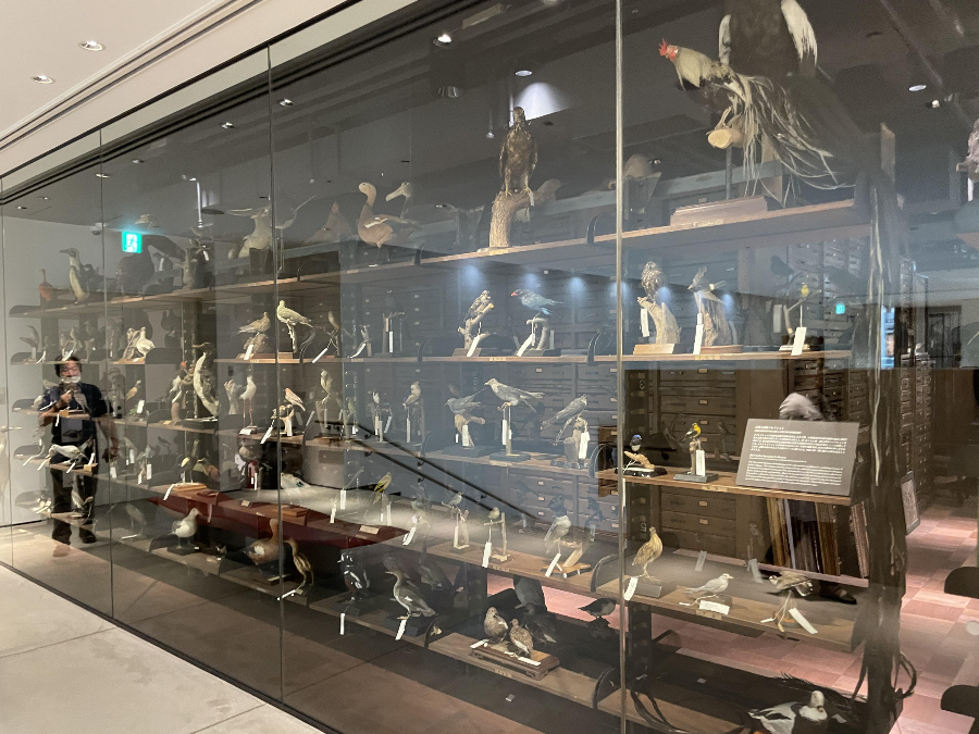 도쿄역 킷테 마루노우치 타워 실내 우체국장실