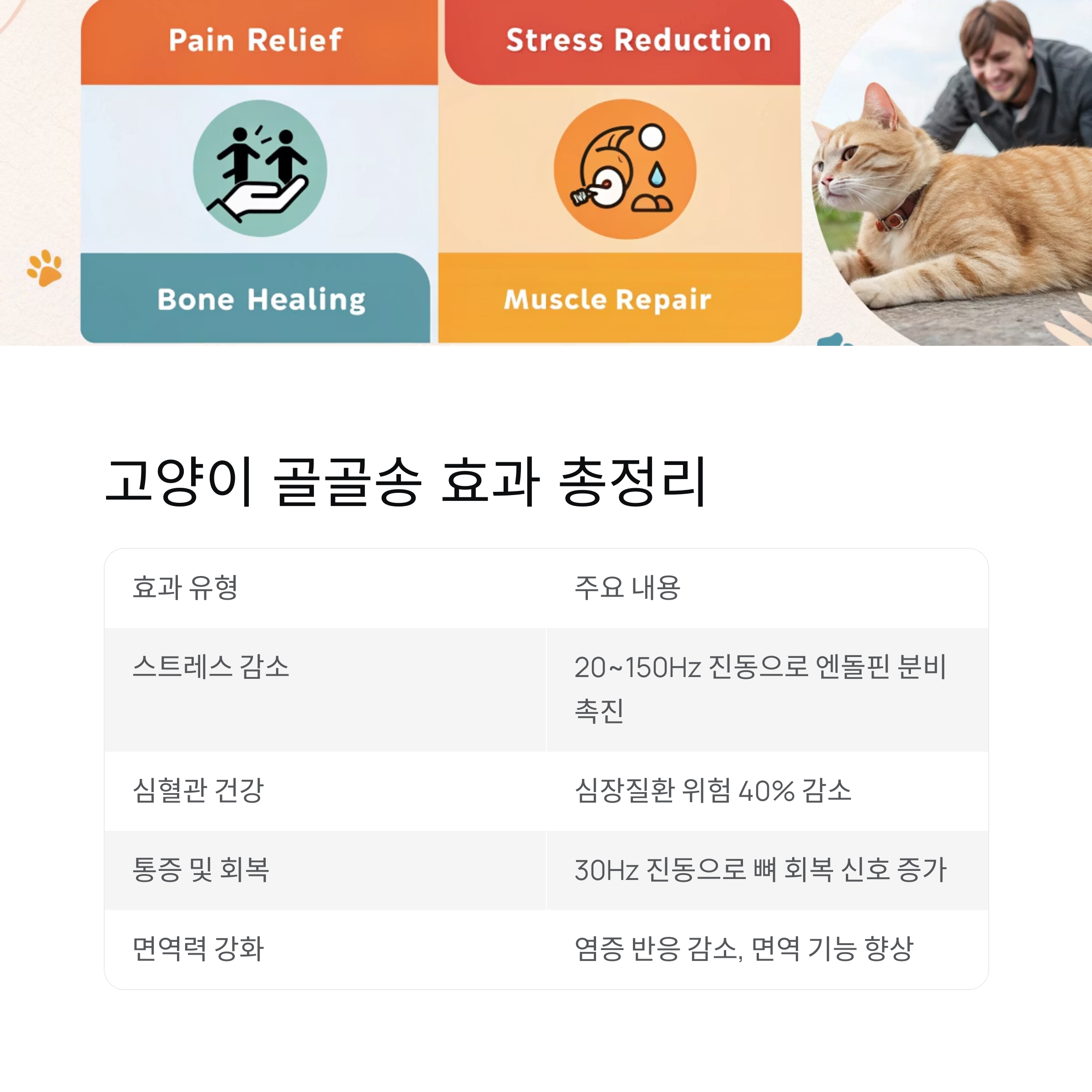 고양이 골골송 효과 총정리