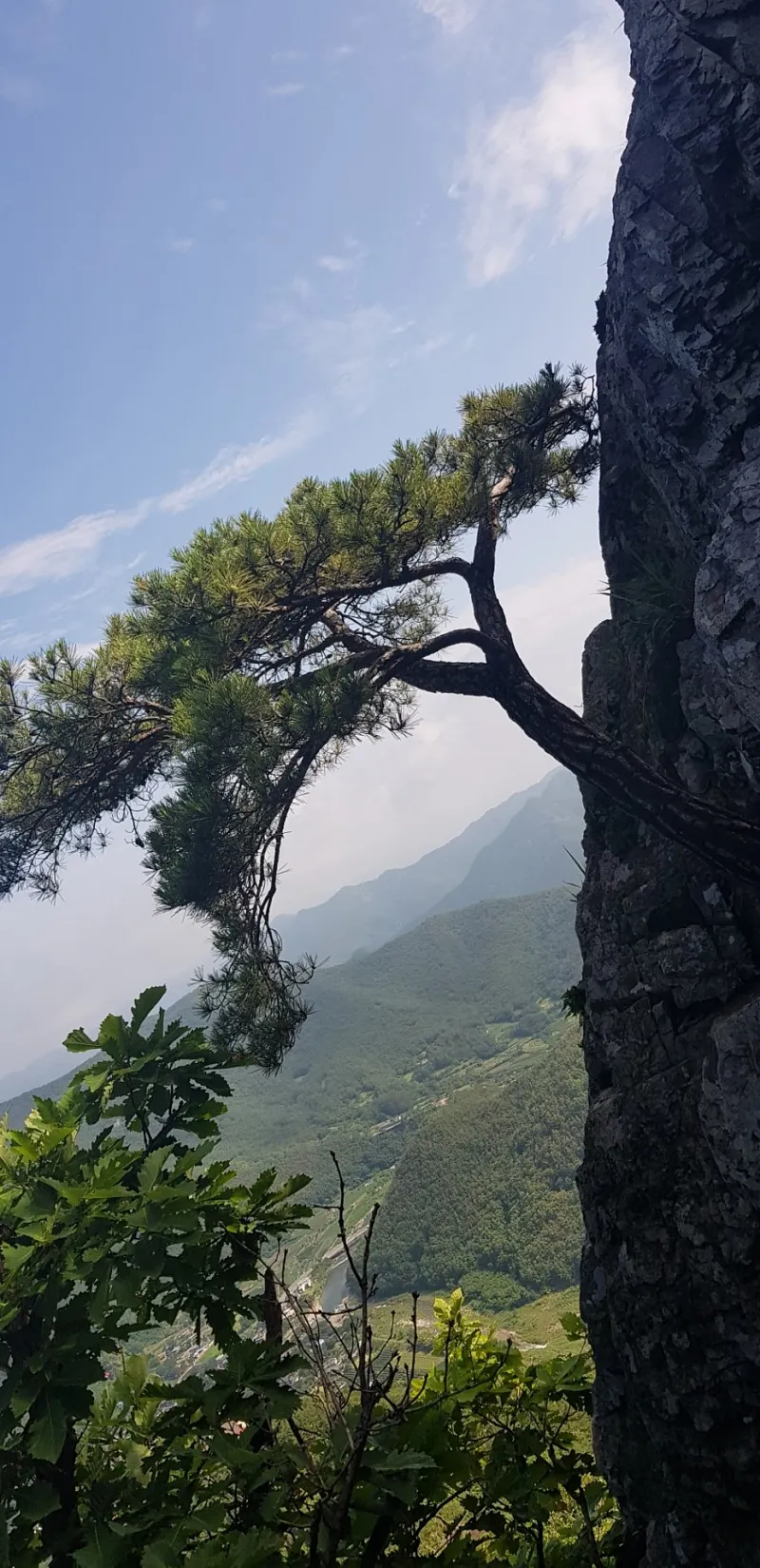 청도 복호산