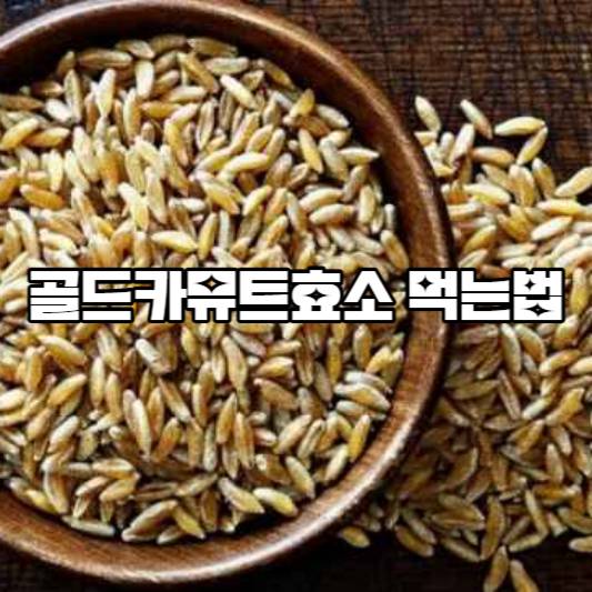 골드카뮤트효소먹는법