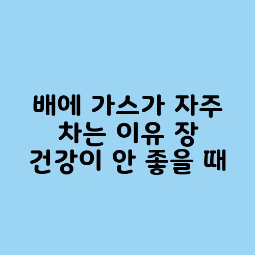 배에 가스가 자주 차는 이유 장 건강이 안 좋을 때
