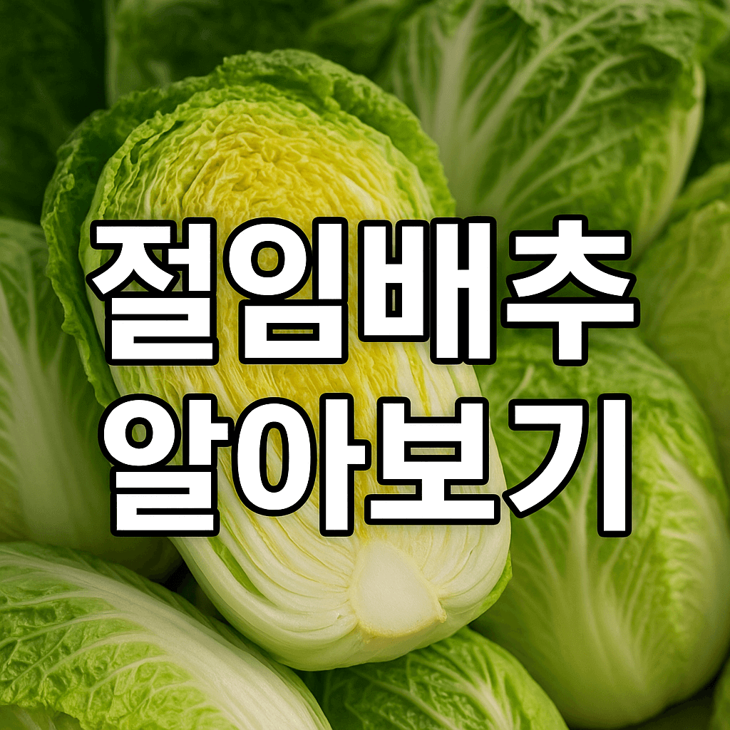 절임배추 20키로