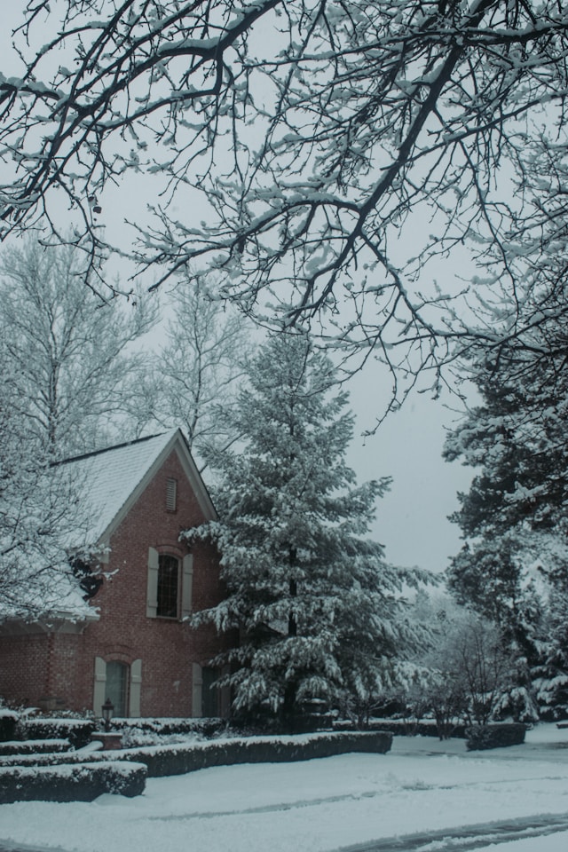 대설특보 배달 지연 중단 환불 완벽 대처 가이드