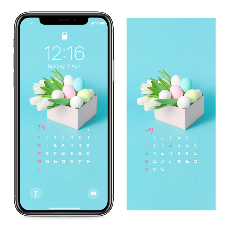 06 튤립과 계란 AB - 2024년3월 아이폰달력배경화면